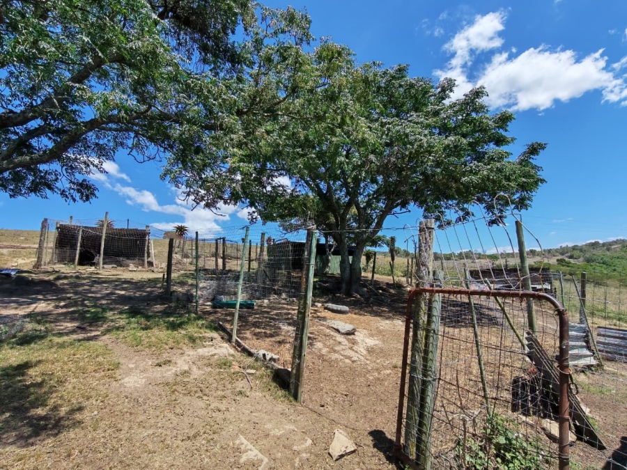Commercial Property for Sale in Komga Rural Eastern Cape
